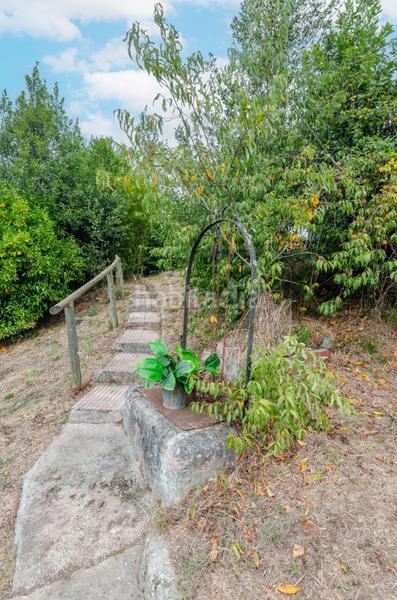 Foto 6ebaf763-c2f8-4a89-8fa3-166b5726ca59. Haus in lugar fresnedo 48 in Cabranes