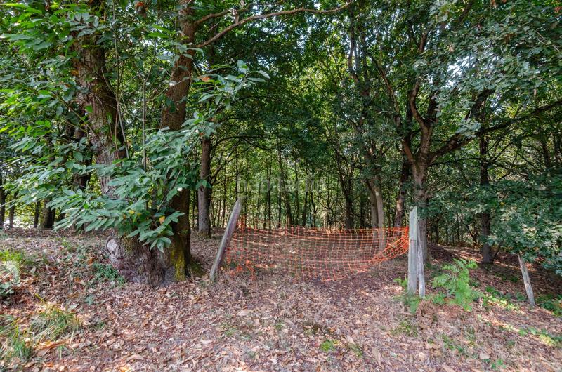 Foto 1928f7c1-75a6-42b2-a02a-6462a012166e. Terreno residenziale in polígono 36 parcela 5 in Regueras (Las)