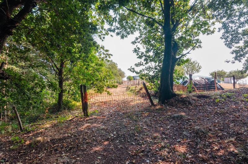 Foto 1b76c8bf-d1c5-4042-ab86-7ab651734d14. Terreno residenziale in polígono 36 parcela 5 in Regueras (Las)