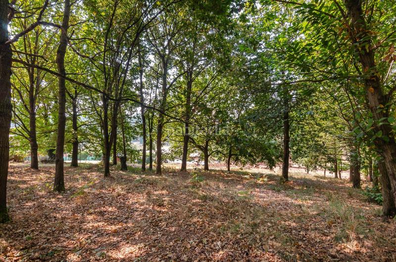 Foto 2152bb0d-bc03-4c2d-a08a-a19488df7bb8. Terreno residenziale in polígono 36 parcela 5 in Regueras (Las)