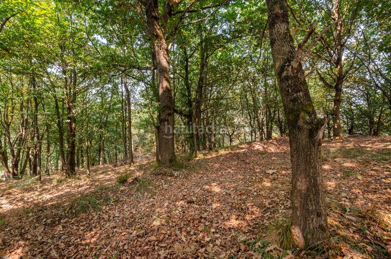 Foto 8b8522c0-706d-42d5-b23e-30c39f165c50. Terreno residenziale in polígono 36 parcela 5 in Regueras (Las)