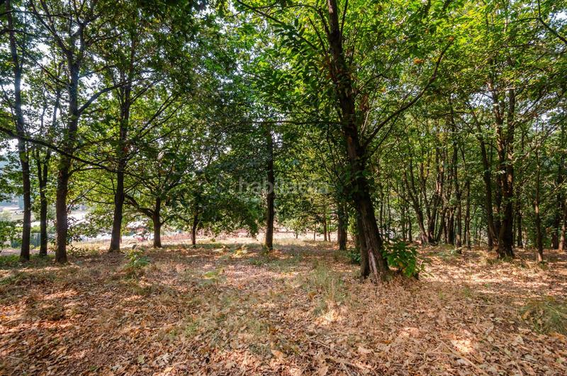 Foto a6b61a6a-1ac3-4d19-a913-41933e47ab1e. Terreno residenziale in polígono 36 parcela 5 in Regueras (Las)