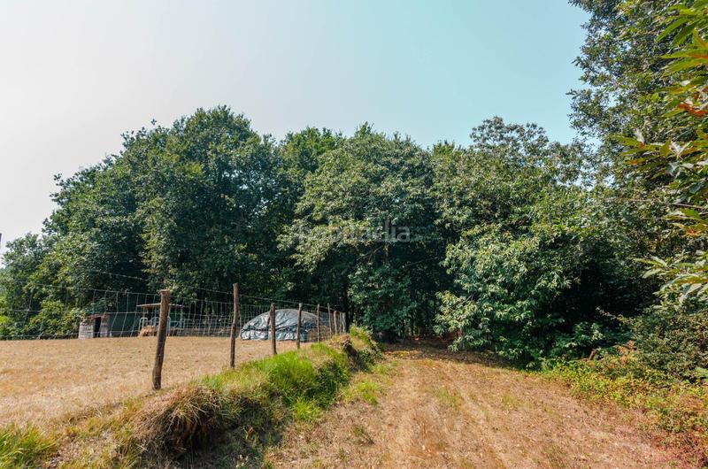 Foto b02cbfbf-be08-433e-b616-06e4ab3b83ae. Terreno residenziale in polígono 36 parcela 5 in Regueras (Las)