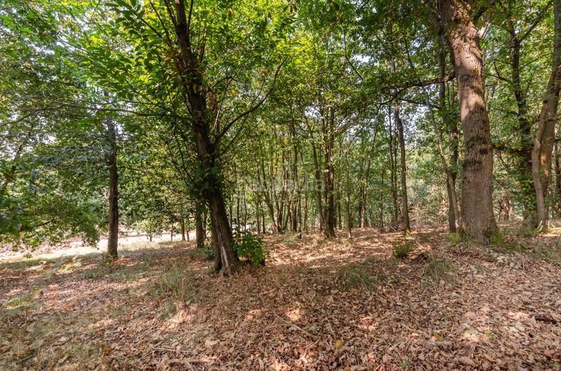 Foto b4c86322-4c57-43b2-9d82-5b5773dd8a6c. Terreno residenziale in polígono 36 parcela 5 in Regueras (Las)