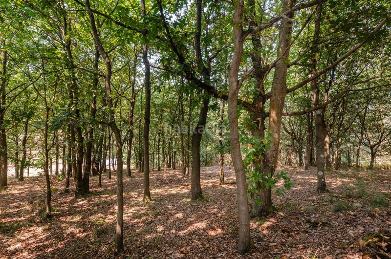 Foto ea28eb1d-7c63-482d-8f52-2961866af8ee. Terreno residenziale in polígono 36 parcela 5 in Regueras (Las)