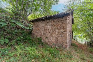 Finca rústica  Lugar san martín del rey aurelio 12. Terreno con cuadra en perabeles