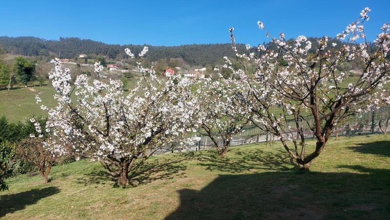 Foto 220a6945-8c65-4247-a7a2-71620b6edcbf. Casa amb calefacció aparcament a San Claudio - Trubia - Las Caldas Oviedo