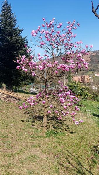 Foto 4707c995-2223-4115-a8da-4cf779308513. Casa amb calefacció aparcament a San Claudio - Trubia - Las Caldas Oviedo