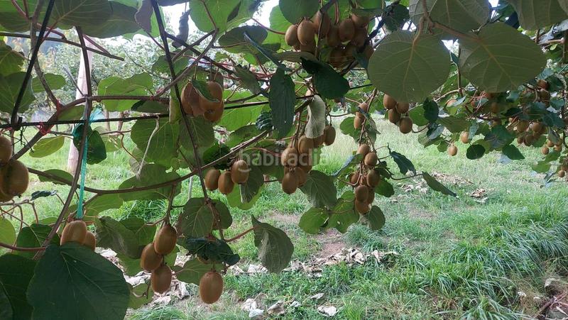 Foto 9d8e2d8a-4873-427e-811d-cc10b7601d71. Casa amb calefacció aparcament a San Claudio - Trubia - Las Caldas Oviedo