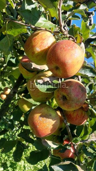 Foto d602f9ff-35f0-40c2-8d65-d2a6109b2ec5. Casa amb calefacció aparcament a San Claudio - Trubia - Las Caldas Oviedo