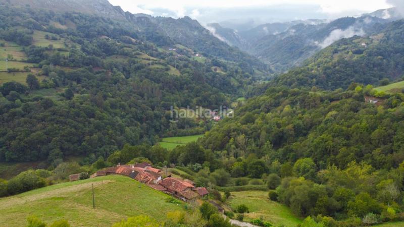 Foto 343a0748-a828-449f-8db9-963f37d0ebef. Maison dans la travesera 2 dans Piloña