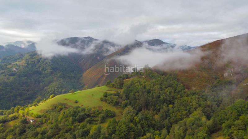 Foto 403b53f6-7d67-4b09-bc5d-f6d782019936. Maison dans la travesera 2 dans Piloña