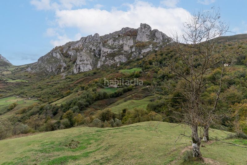 Foto 0e6ac8e3-5bf1-47e4-bd3e-07af9c17ee72. Landgut in lugar a pola de Laviana 35 in Laviana