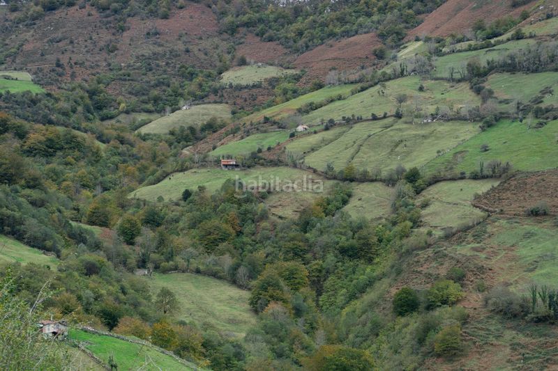 Foto 0f06b4a3-b9ef-4998-8a61-f8cba026729d. Landgut in lugar a pola de Laviana 35 in Laviana