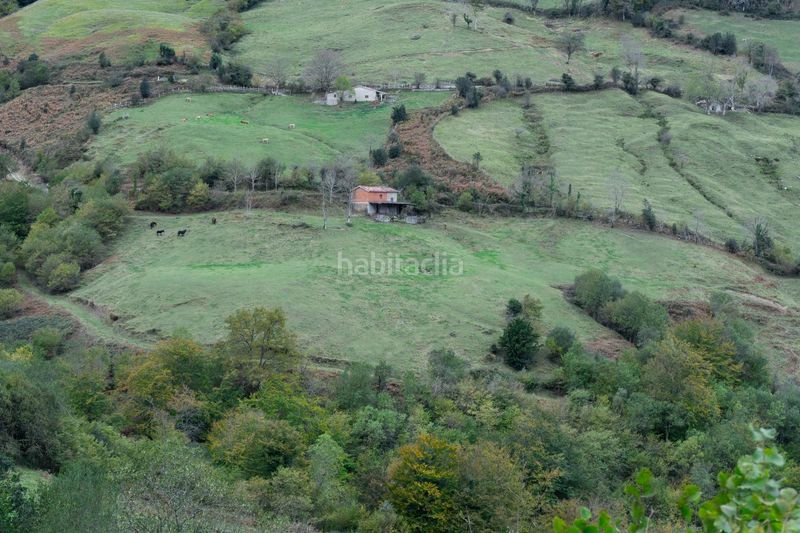 Foto 60743373-638a-4f1c-b324-6a2e4ec2101e. Landgut in lugar a pola de Laviana 35 in Laviana