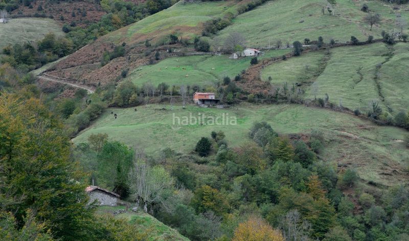 Foto 68768d86-7f3f-4fe8-b6ed-e7e897543920. Landgut in lugar a pola de Laviana 35 in Laviana