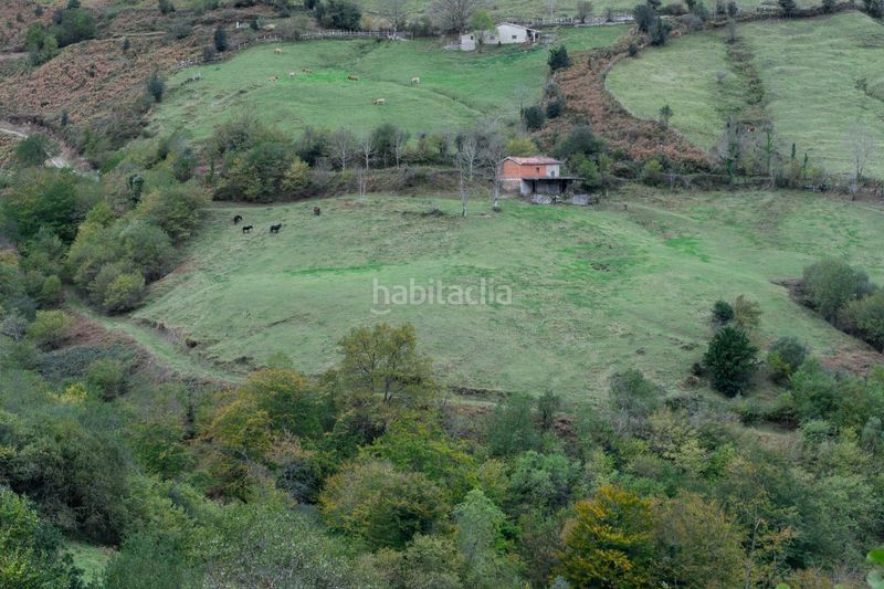 Foto 9a75314c-e682-4d92-a503-a4b7e1ff1535. Landgut in lugar a pola de Laviana 35 in Laviana