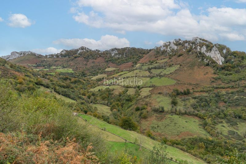 Foto a13b2c33-6aab-4ad1-9ae9-74feeb6fd8d8. Landgut in lugar a pola de Laviana 35 in Laviana