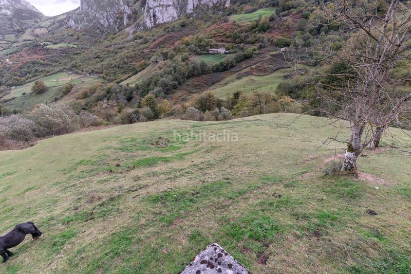 Foto e2503f89-01b5-4b54-8563-2022c44671f8. Landgut in lugar a pola de Laviana 35 in Laviana