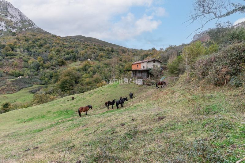 Foto f0e27b4c-13ee-4546-8026-8a8c8c1b0efc. Landgut in lugar a pola de Laviana 35 in Laviana