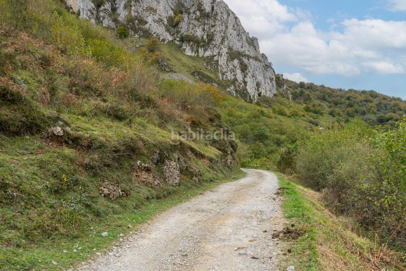 Foto f18f1319-c5d3-4670-922c-c8968fd6439d. Landgut in lugar a pola de Laviana 35 in Laviana