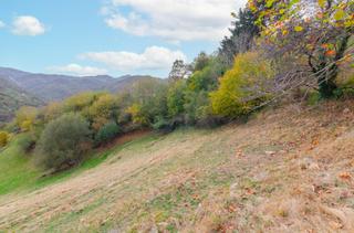 Casa in Piloña. Casa con parcelas en piloña