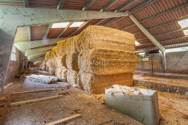 Foto 00b19312-47dc-4c59-8463-34c33f24f5b4. Casa a carretera pernus 0 a Colunga