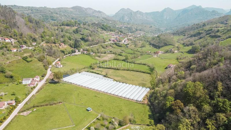 Foto 6e748d27-d2c5-417a-a420-6e6ed08e207f. Chalet complejo rural en venta en Morcín