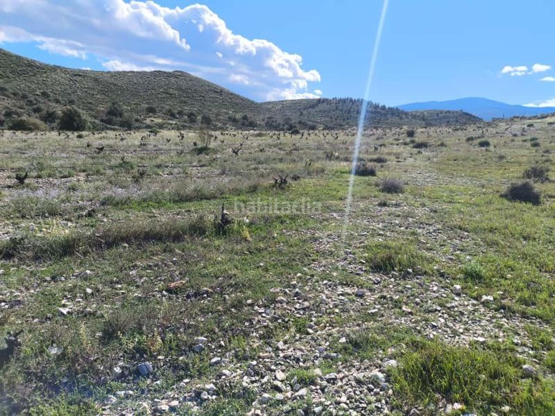 Foto 400c55ac-059b-4f58-b0a0-a04e591360c9. Finca rústica a Alboloduy