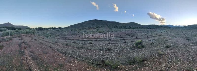 Foto 4b780d30-5935-4d37-bae5-e2cb83faeec3. Finca rústica a Alboloduy