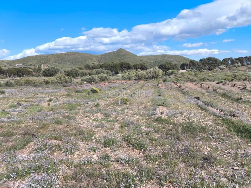 Foto abbee0fe-f482-4b8e-ad2e-c0d0b5b41577. Finca rústica a Alboloduy