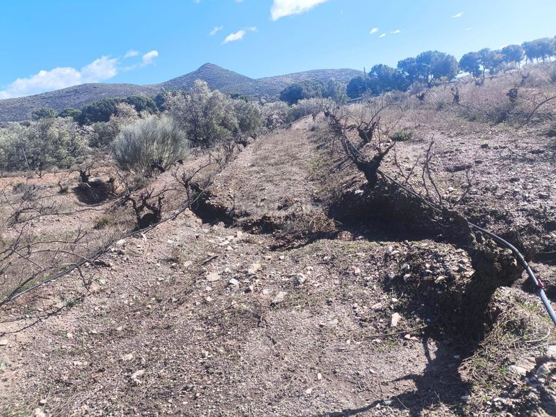 Foto c9a2f7c7-bd1d-4fa0-96af-8893e899701b. Finca rústica a Alboloduy