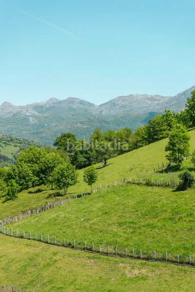 Foto f5f2b158-a0f7-4a60-8ea8-63a73cd3c836. Casa a lugar lugar ricabo 200 a Quirós