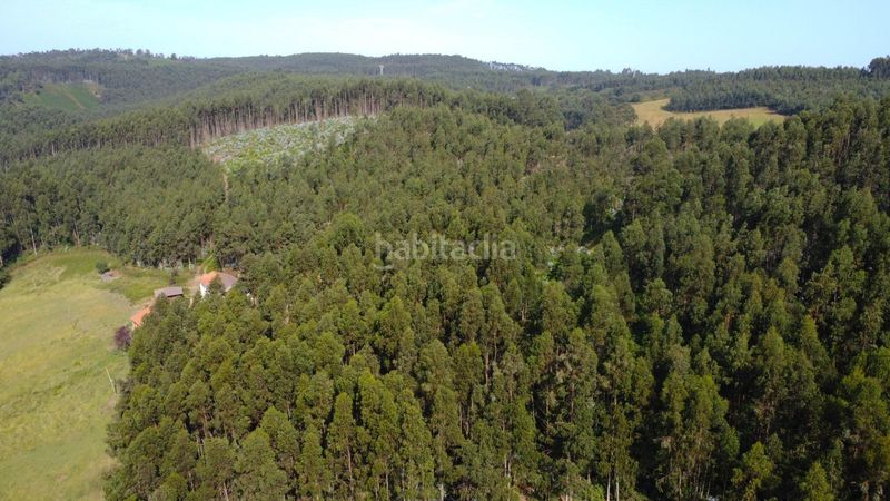 Foto 2889466c-75ec-4051-86a2-2dea6cd44a45. Chalet en montiana a poago- Fresno 51 preciosa casa de dos plantas dos viviendas independientes y amplio terreno en Fresno monteana en Gijón