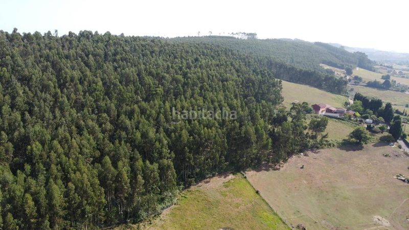 Foto a8dd25c3-11e8-488a-b364-162f03c84a6c. Chalet en montiana a poago- Fresno 51 preciosa casa de dos plantas dos viviendas independientes y amplio terreno en Fresno monteana en Gijón