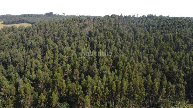 Foto fe4ba3a9-ac8a-44b1-96c4-f52964a7b335. Chalet en montiana a poago- Fresno 51 preciosa casa de dos plantas dos viviendas independientes y amplio terreno en Fresno monteana en Gijón