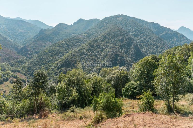 Foto cd2be185-300a-4ff6-9bb7-699c573a86cf. Casa amb calefacció a Somiedo