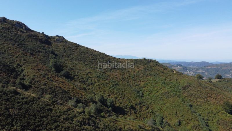 Foto 545f4cfa-07c0-455c-84c7-364a109a993a. Casa amb calefacció a Bimenes