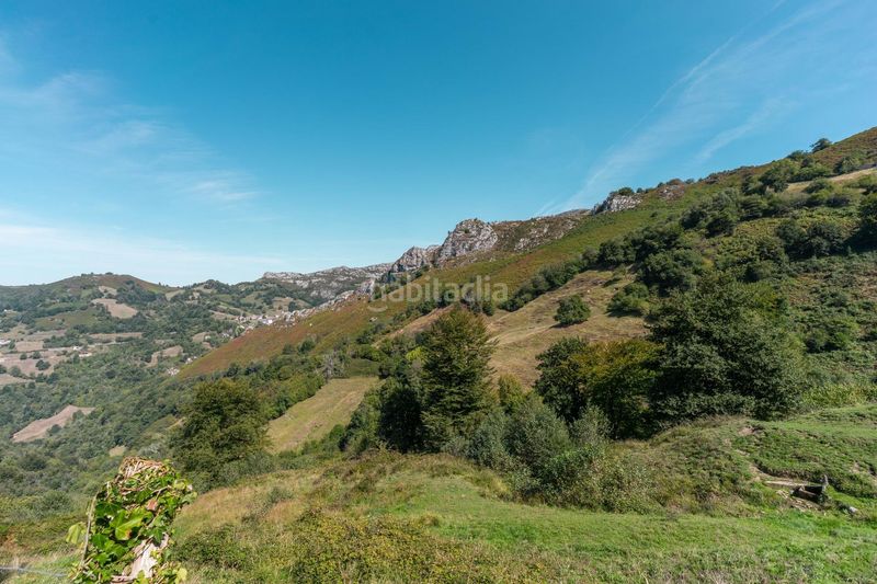 Foto c906de15-61aa-4ceb-9dcd-811f0902d830. Casa amb calefacció a Bimenes