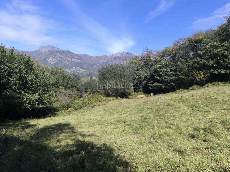 Foto ce6d22b9-6fca-421c-9d3a-583ef1dbed1f. Country house in lugar de rioseco 172 in Sobrescobio