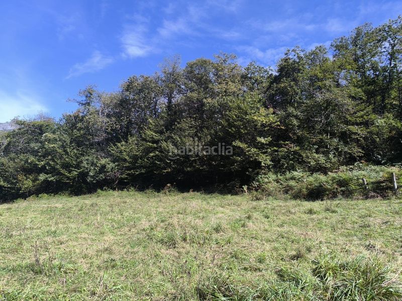 Foto cf88d980-50b5-4c19-8d45-d26056ceccfc. Country house in lugar de rioseco 172 in Sobrescobio