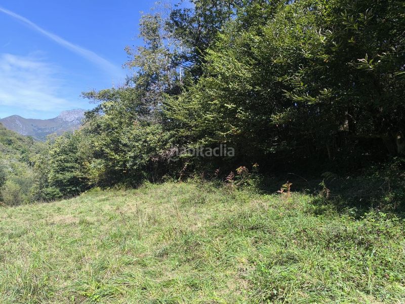 Foto cfa70765-177c-48ca-a841-73cb6d635e1e. Country house in lugar de rioseco 172 in Sobrescobio