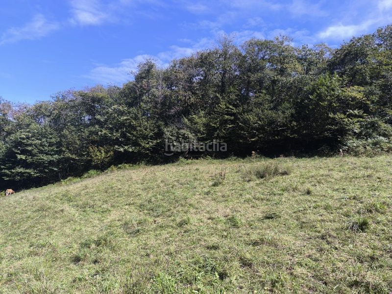 Foto f535b940-bd30-469c-83e2-99bf0afb0ff6. Country house in lugar de rioseco 172 in Sobrescobio