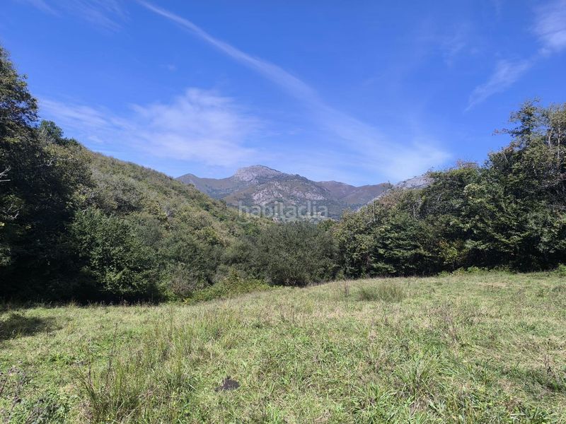 Foto ff0d20d2-09aa-4e89-9620-1db0753d3934. Country house in lugar de rioseco 172 in Sobrescobio