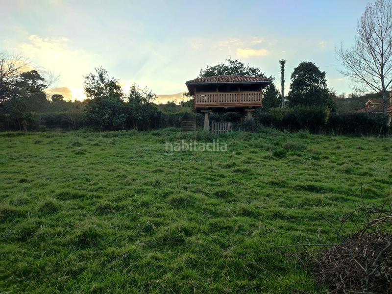 Foto de5deb7e-8721-4847-acd2-8437566a0b76. Residential plot in Santurio Gijón