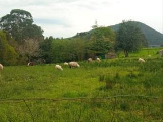 Landgut  N/a