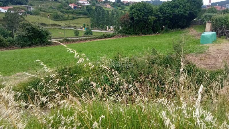 Foto 616a6c71-021e-4bcd-8ddc-11d7cb89036c. Terreny residencial a n/a a Carreño