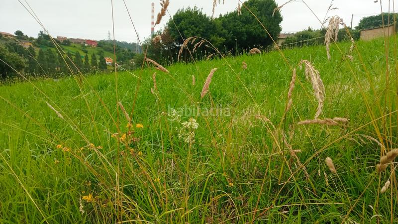 Foto b7f5d58b-9dc0-4973-b0cd-fc61bdbd0862. Terreny residencial a n/a a Carreño