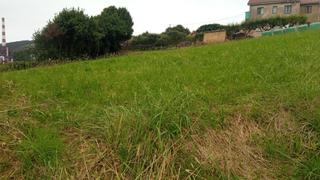 Residential Plot in N/a