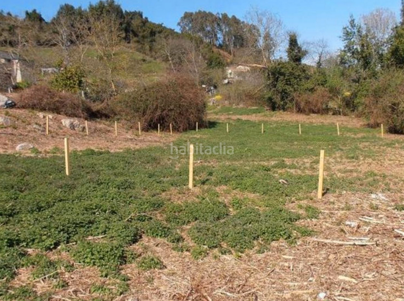 Foto 22412e04-6cc8-4836-bd7d-8d9fa1519c92. Terreny residencial a aldea mogobio 9 a Parroquias suroccidentales Villaviciosa